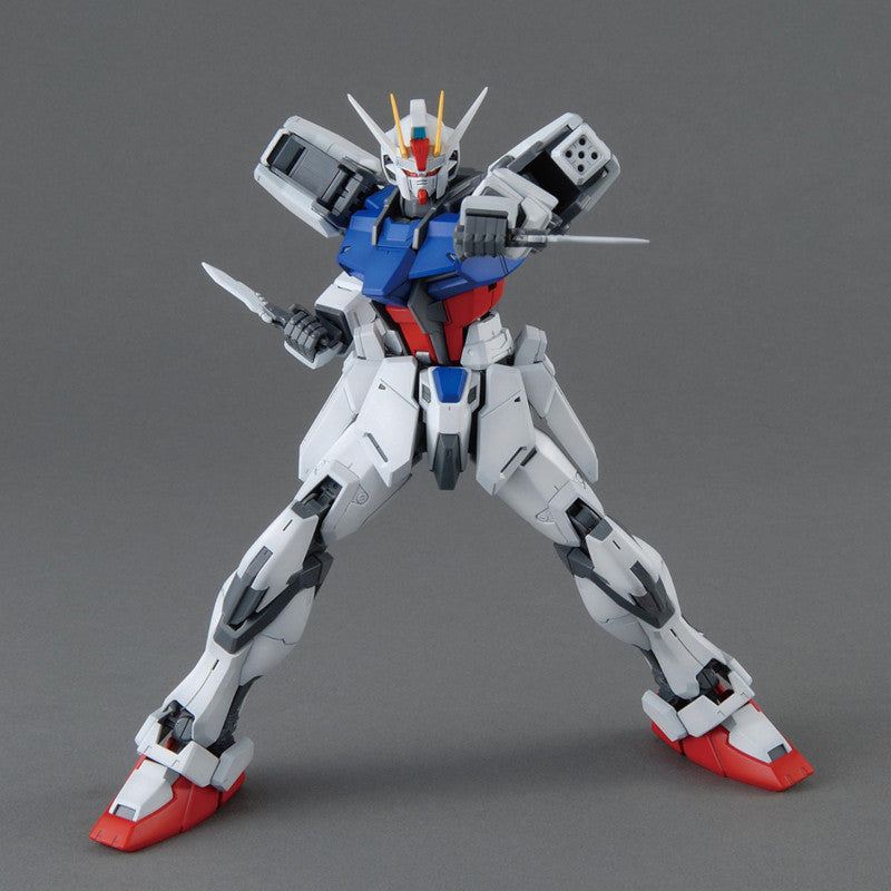 MG 1/100 Plastic Model Mobile Suit Gundam SEED  : GAT-X105 Aile Strike Gundam Ver.RM