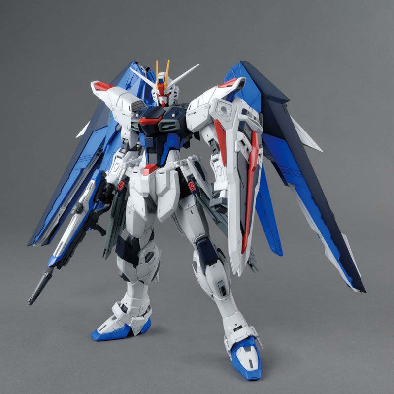 MG 1/100 Plastic Model Mobile Suit Gundam SEED : ZGMF-X10A Freedom Gundam Ver.2.0