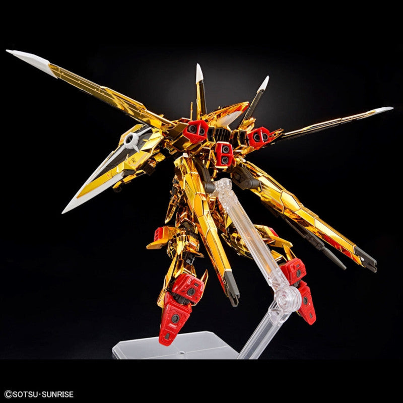 RG 1/144 Plastic Model Mobile Suit Gundam SEED DESTINY : Akatsuki Gundam (Oowashi Unit)