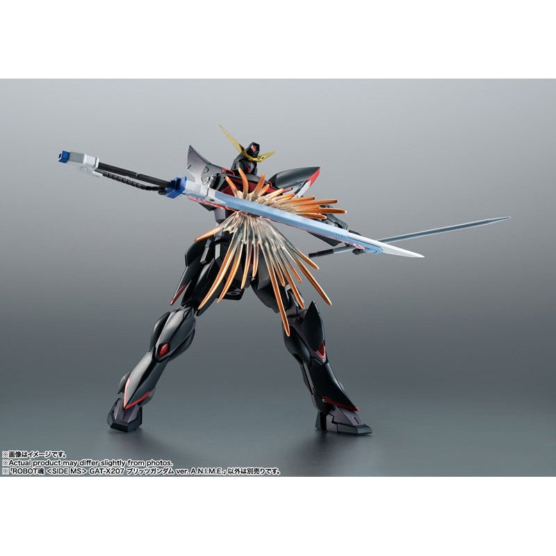 THE ROBOT SPIRITS <SIDE MS> Mobile Suit Gundam SEED : GAT-X207 Blitz Gundam ver. A.N.I.M.E.